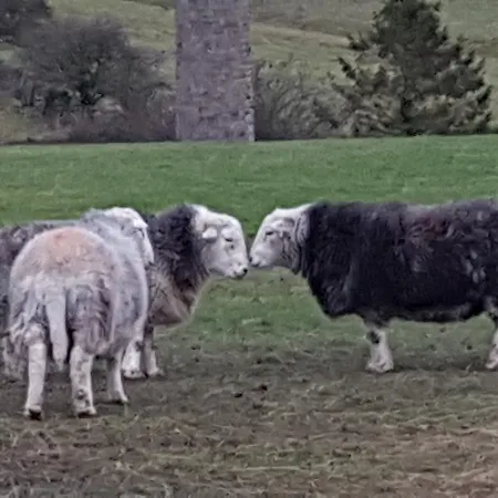 Herdwicks Сasa de vacaciones Millom